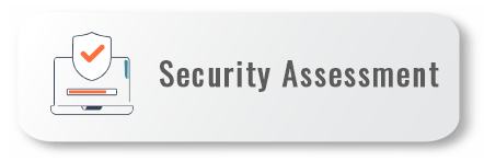 security assessment